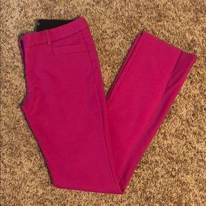 Express Dress Pants